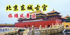 痴汉中出爆乳老师呕吐深喉中国北京-东城古宫旅游风景区
